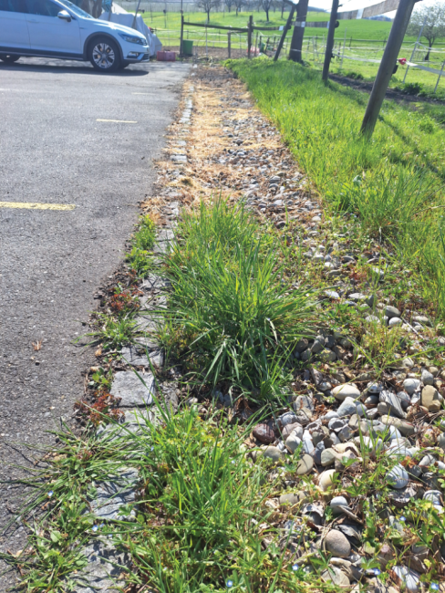 Unkrautbekämpfung ohne Chemie